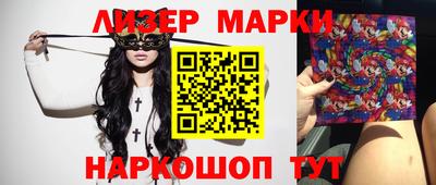 mdpv Гатчина