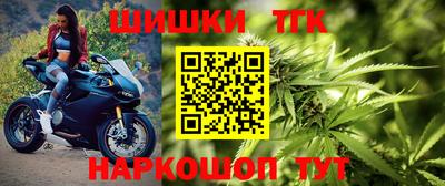 mdpv Гатчина