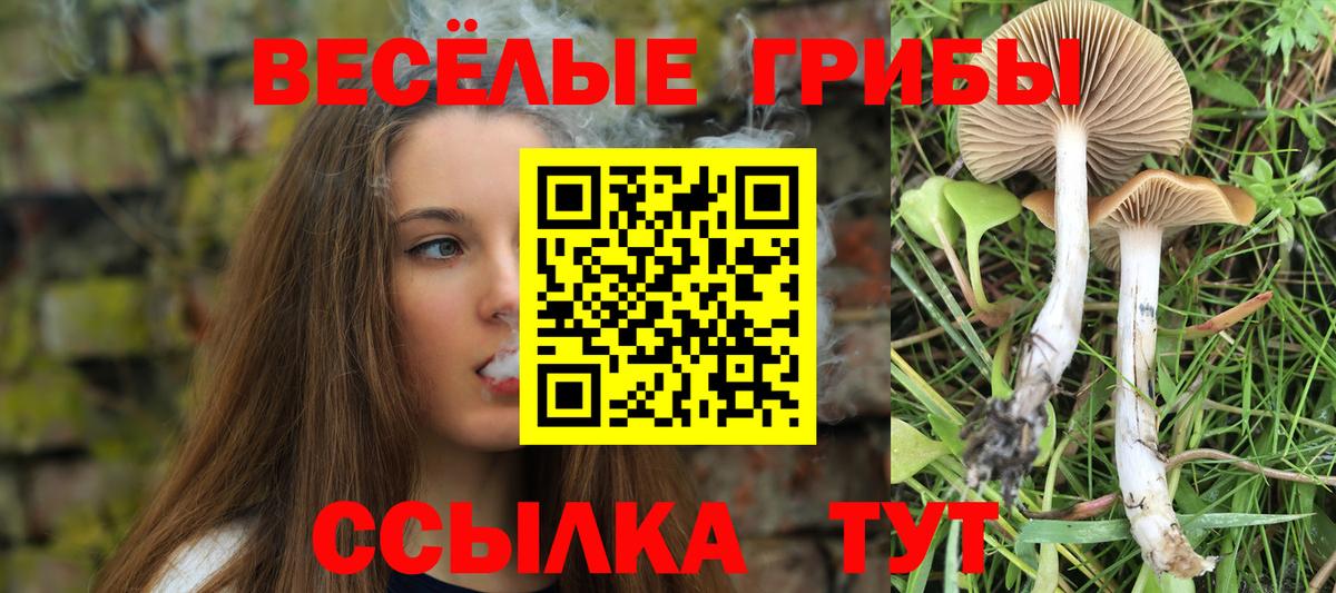 Псилоцибиновые грибы прущие грибы Кинель