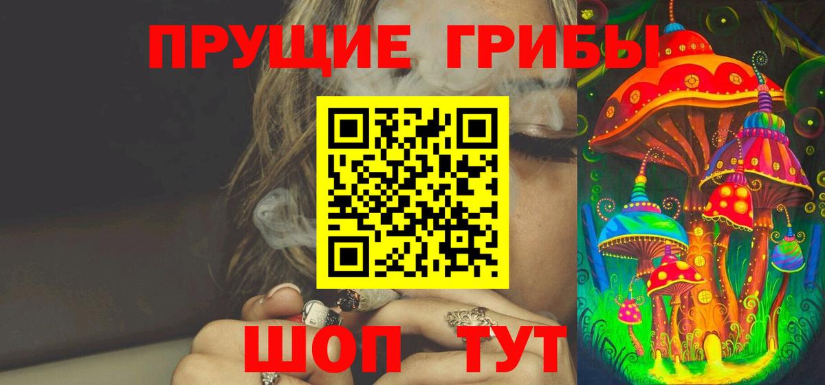 где купить наркоту  Вход с VPN  Кинель  Галлюциногенные грибы прущие грибы 